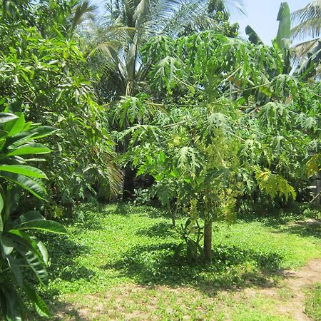 Local Beach Homestay هوي ان المظهر الخارجي الصورة